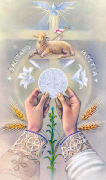 Catholic Traditionalist Movement