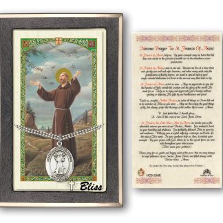 Saint Francis of Assisi Saint Holy Card