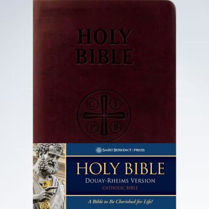 Holy Bible Douay-Rheims Version