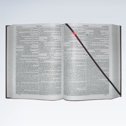 Catholic Bible with commentary