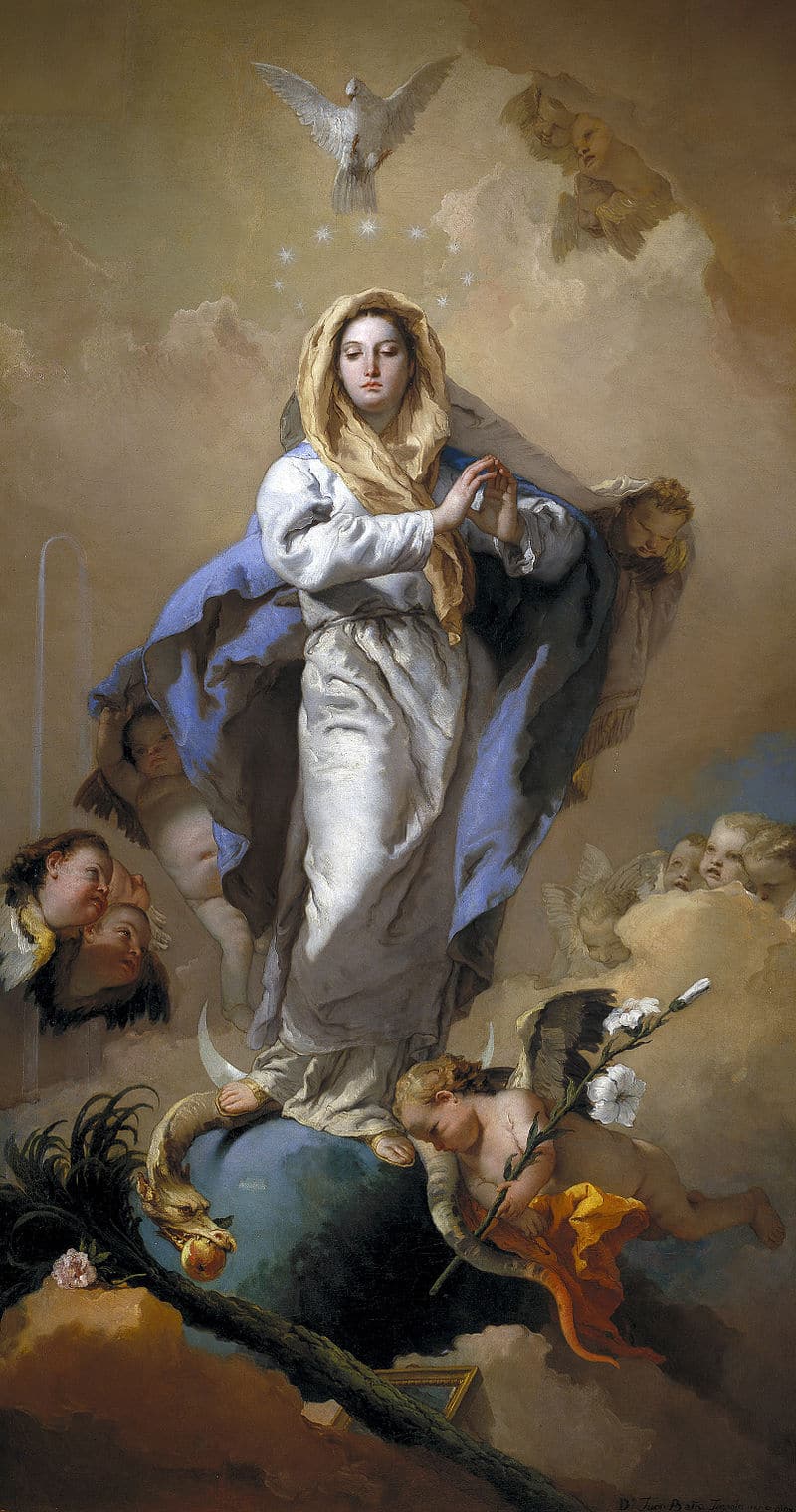 Consecration to the Immaculata