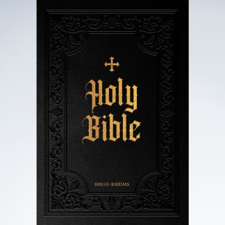 Large Print Holy Bible